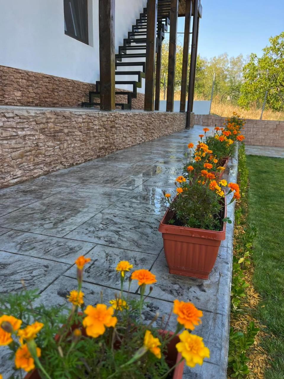 Villa Medi Boutique Сапарева-Баня Экстерьер фото